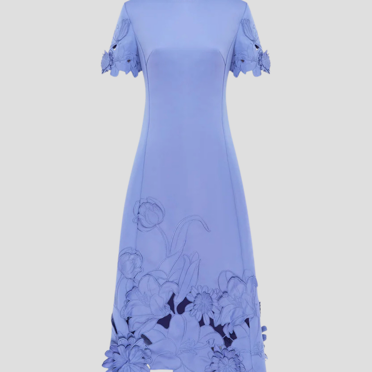 Caroline Applique Short Sleeve Midi Dress